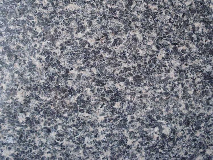 Leopard Skin Grey Granite (2)