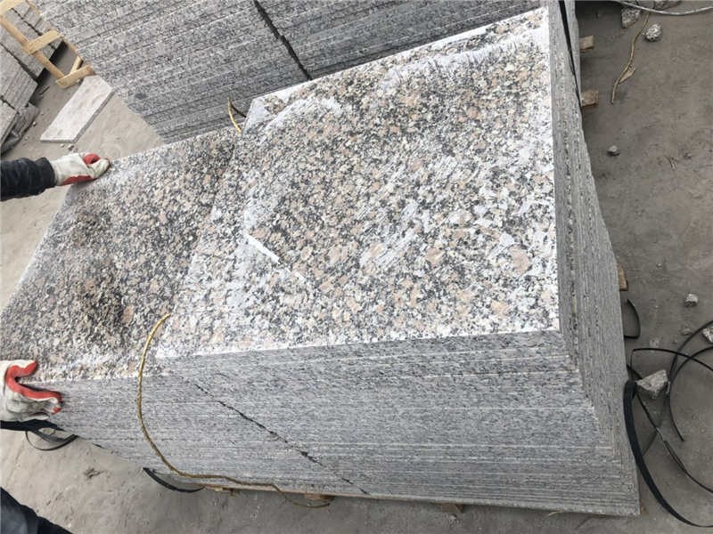 China Rosso Porrino Granite Tiles (5)